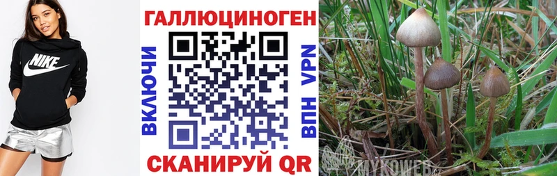 цена наркотик  Ногинск  Галлюциногенные грибы мухоморы 