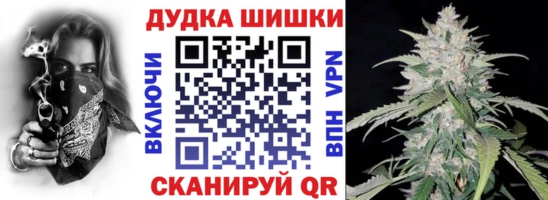 Шишки марихуана планчик мега как войти Ногинск